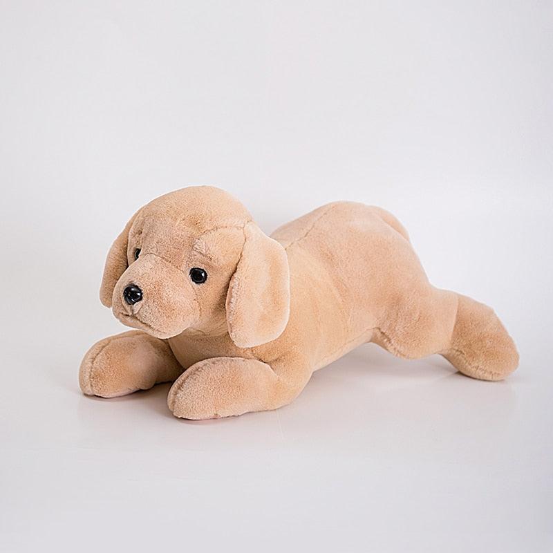 Adorable Golden Retriever Plushies with Hoodies - Image 8