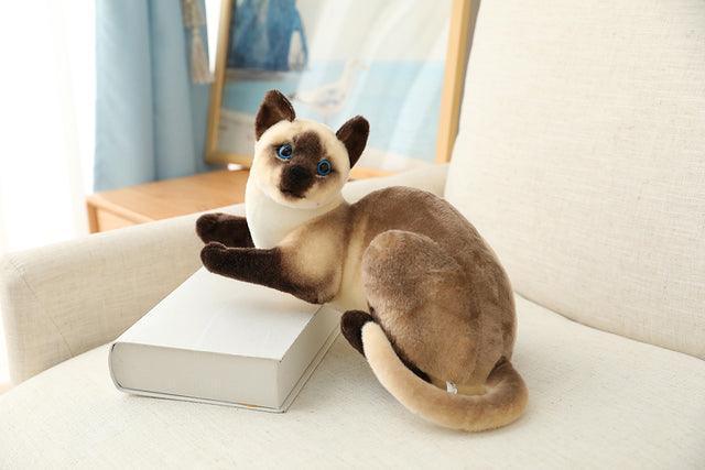 American Shorthair and Siamese Cat Plush Toys - Image 10