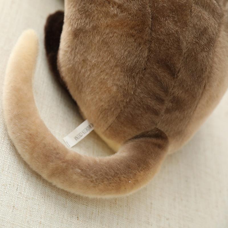 American Shorthair and Siamese Cat Plush Toys - Image 3