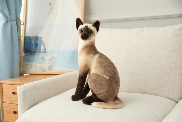 American Shorthair and Siamese Cat Plush Toys - Image 4