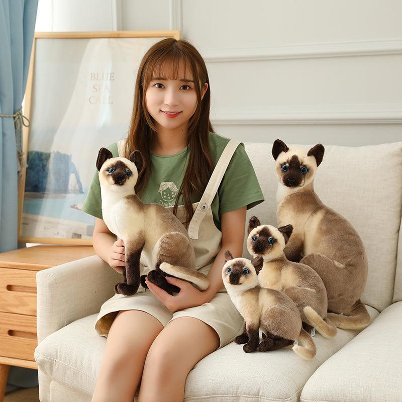 American Shorthair and Siamese Cat Plush Toys - Image 5