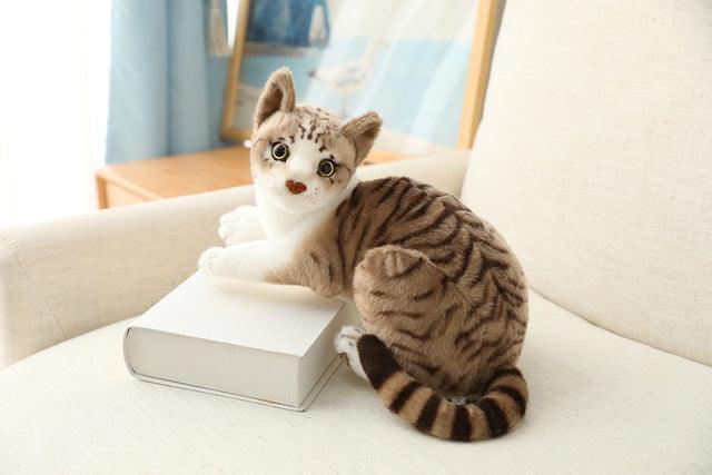 American Shorthair and Siamese Cat Plush Toys - Image 8