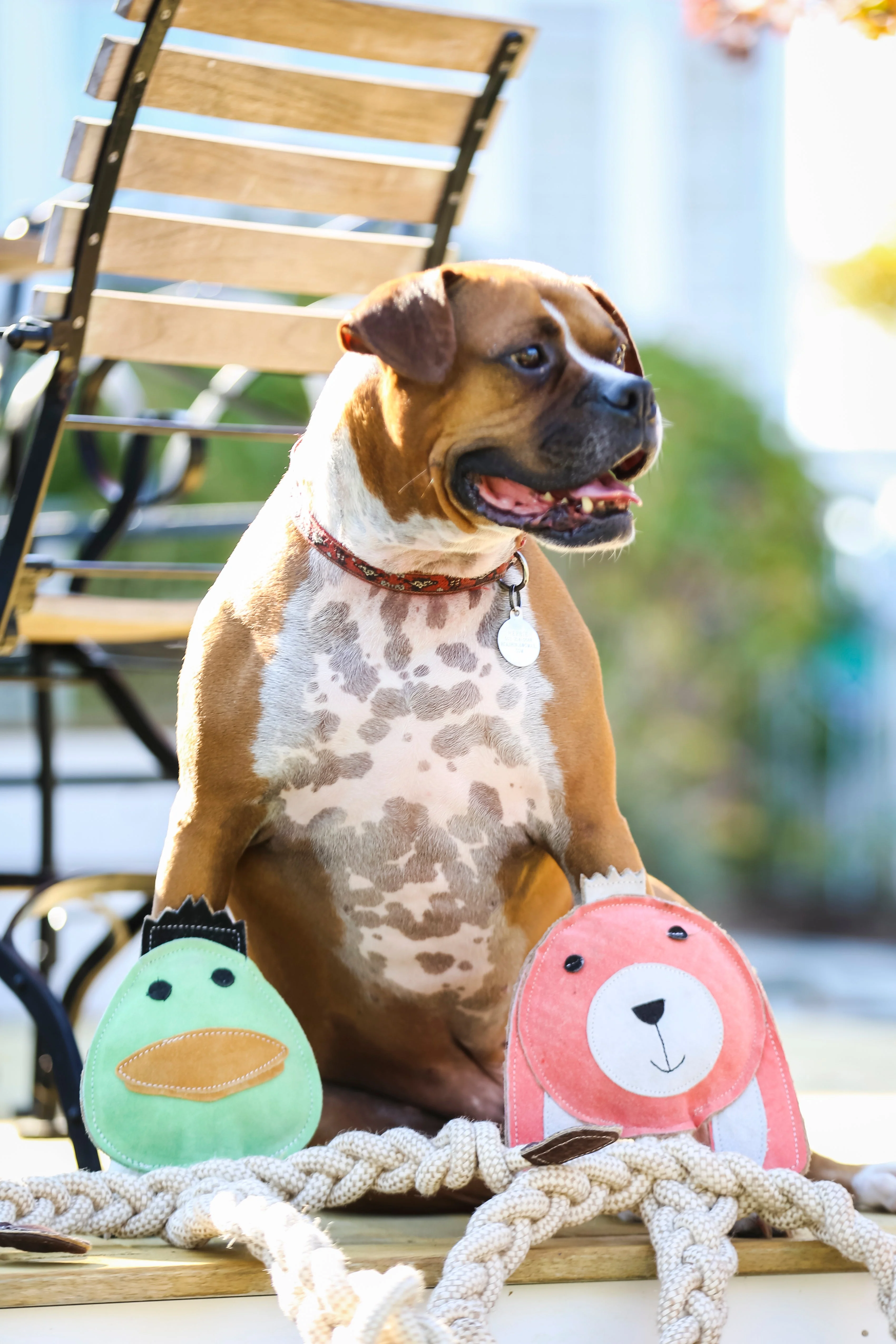 Bitsy Bunny Natural Rope Knottie® Dog Toy, Large (9mm rope diameter) - Image 3
