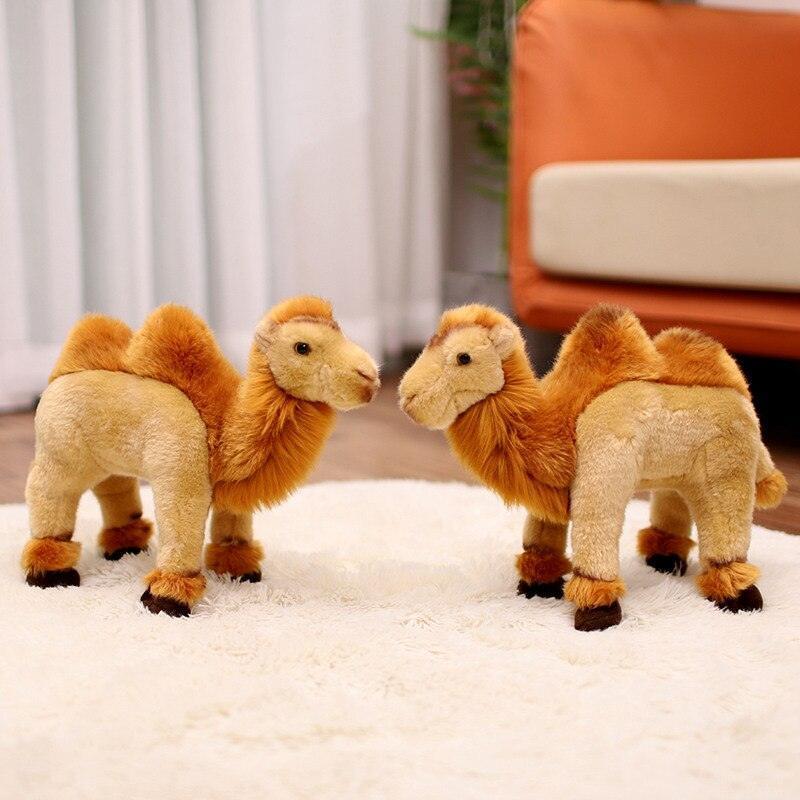 Cairo the Camel - Image 2