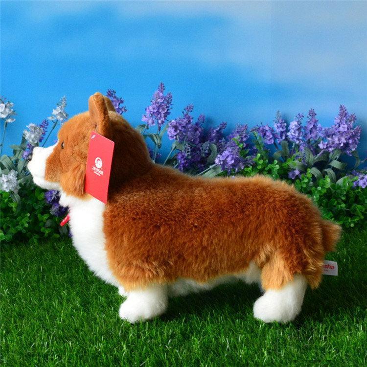 Cute Realistic Pembroke Welsh Corgi Plushie - Image 7