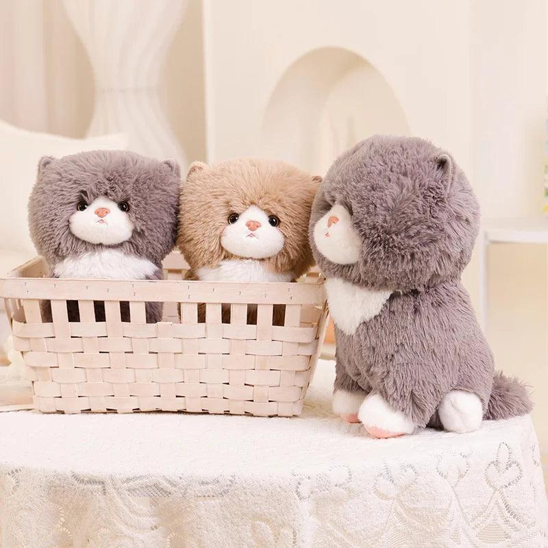 Fluffy Mr. Kitty Plushie - Image 4