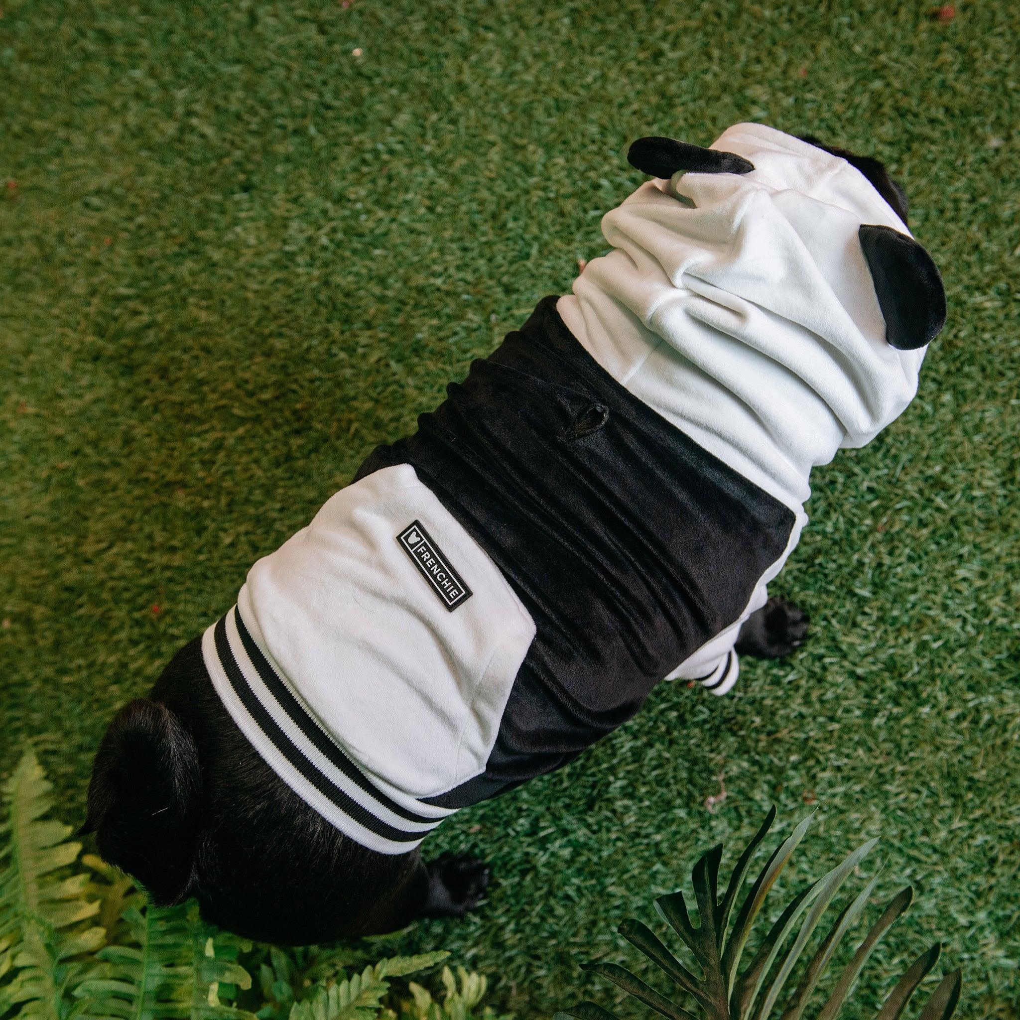 Frenchie Dog Hoodie - Panda Bear - Image 4