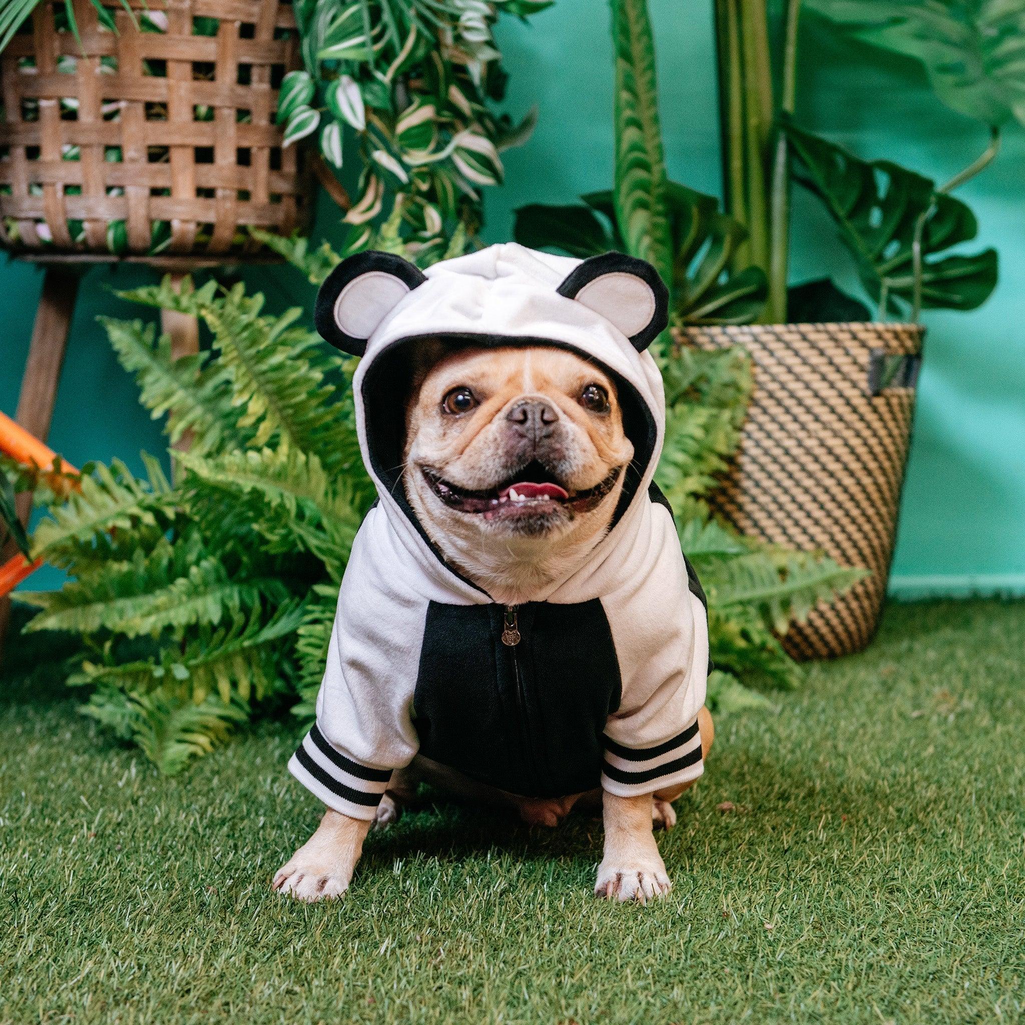 Frenchie Dog Hoodie - Panda Bear - Image 5