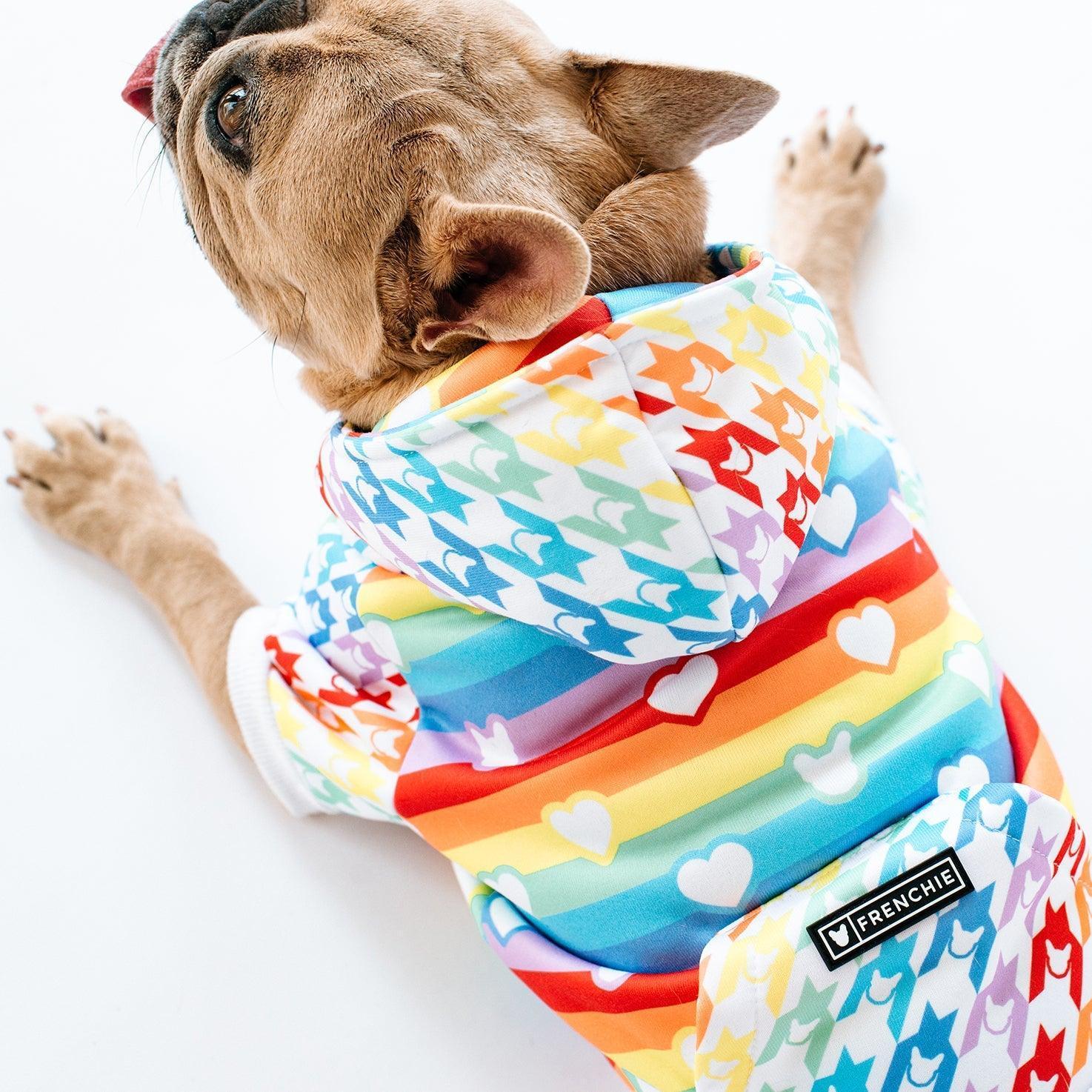Frenchie Dog Hoodie - Pride - Image 4