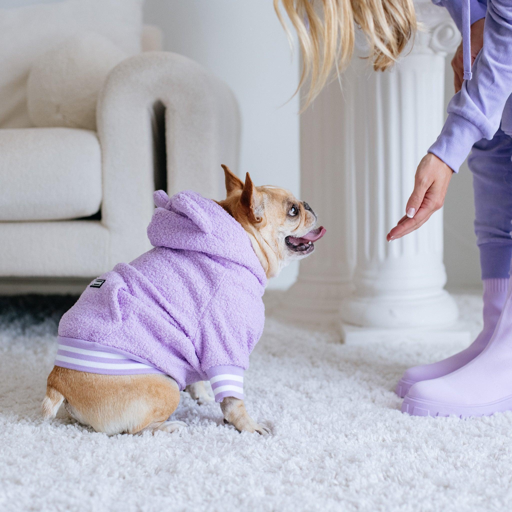 Frenchie Dog Hoodie - Purple Teddy - Image 5