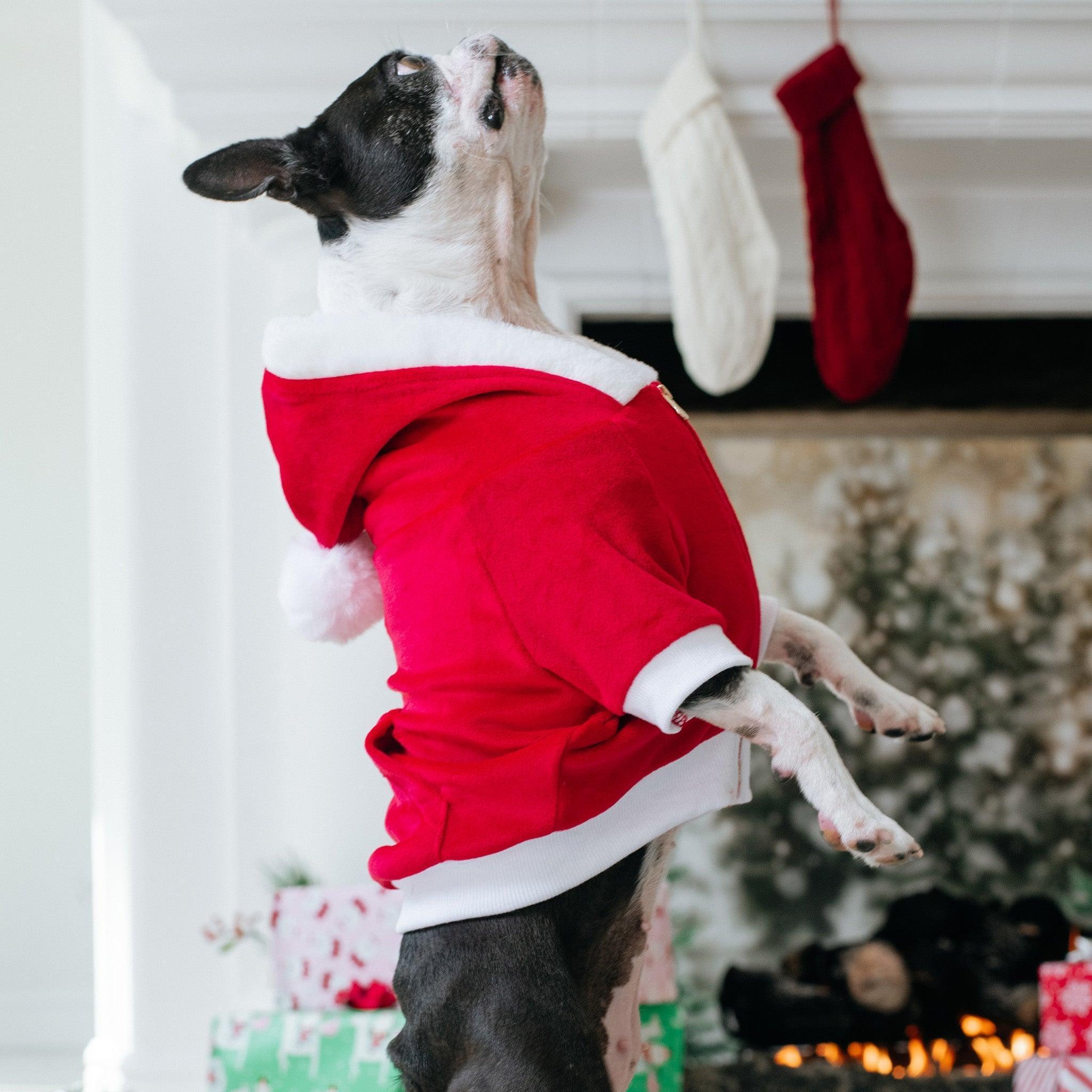Frenchie Dog Hoodie - Red Santa - Image 13