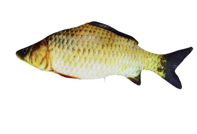Funny Fish Cat Plush Toys - Image 18
