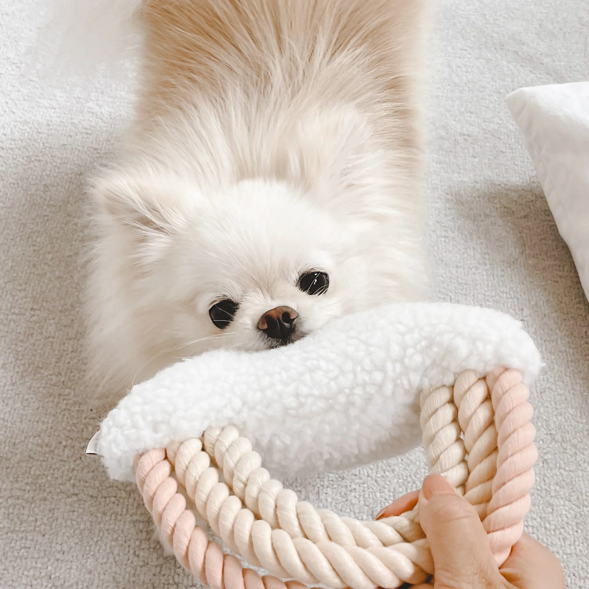 Fur Elise Iris Plush Toy - Image 6