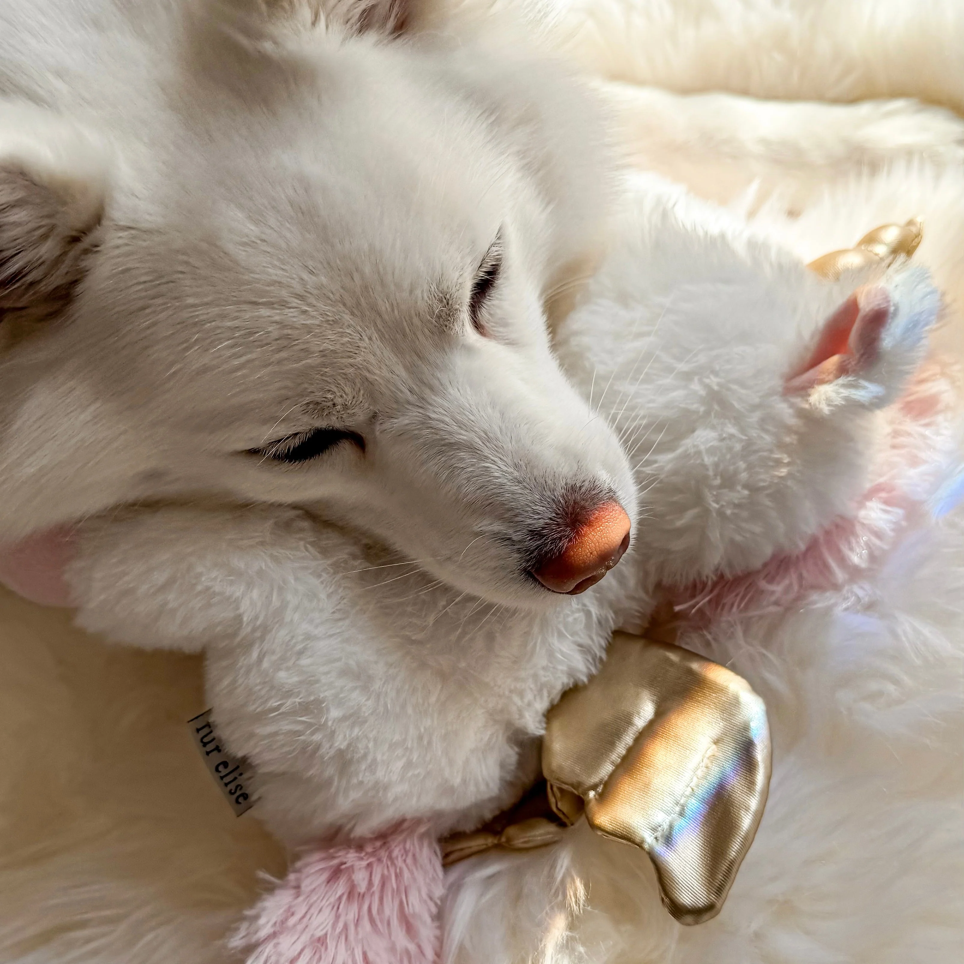 Fur Elise Yuna Plush Toy - Maxi - Image 4