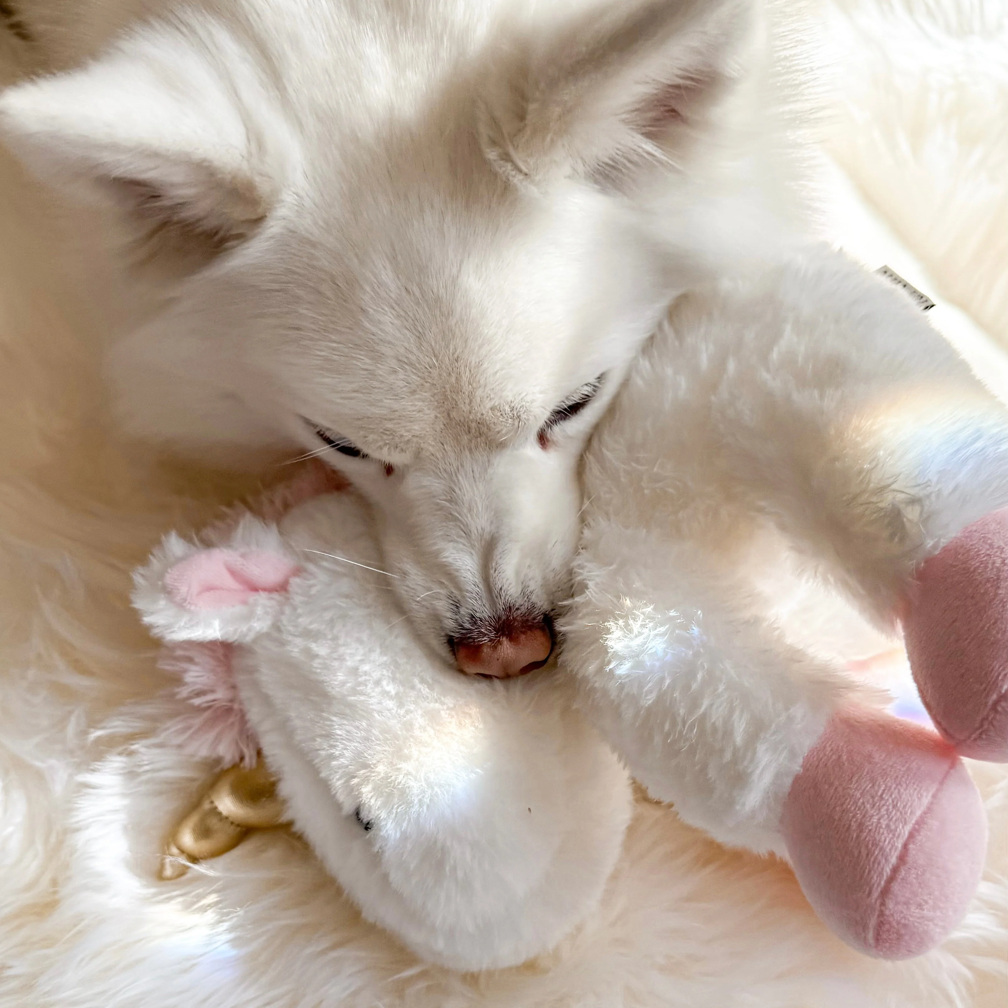 Fur Elise Yuna Plush Toy - Maxi - Image 5
