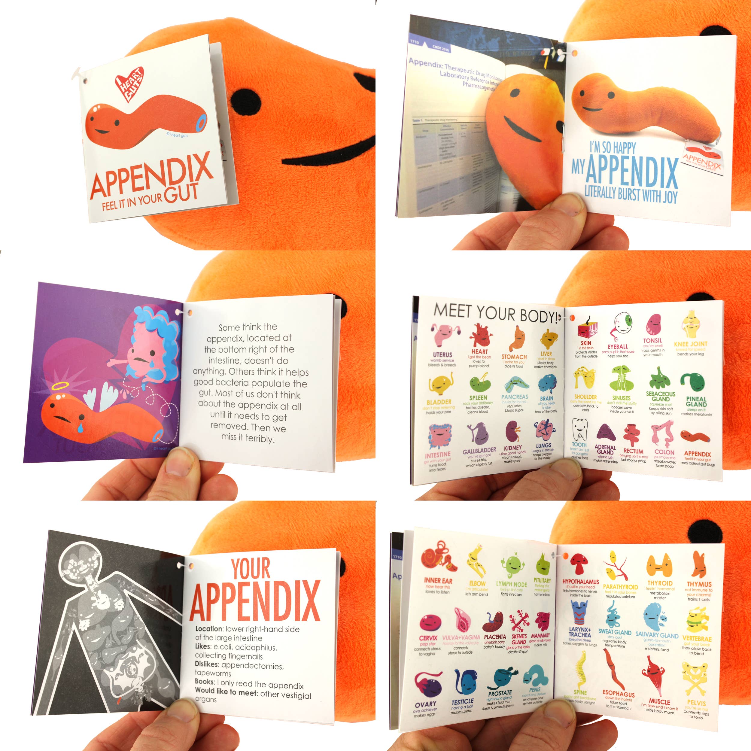 I Heart Guts - Appendix Plush - Feel It In Your Gut - Image 10