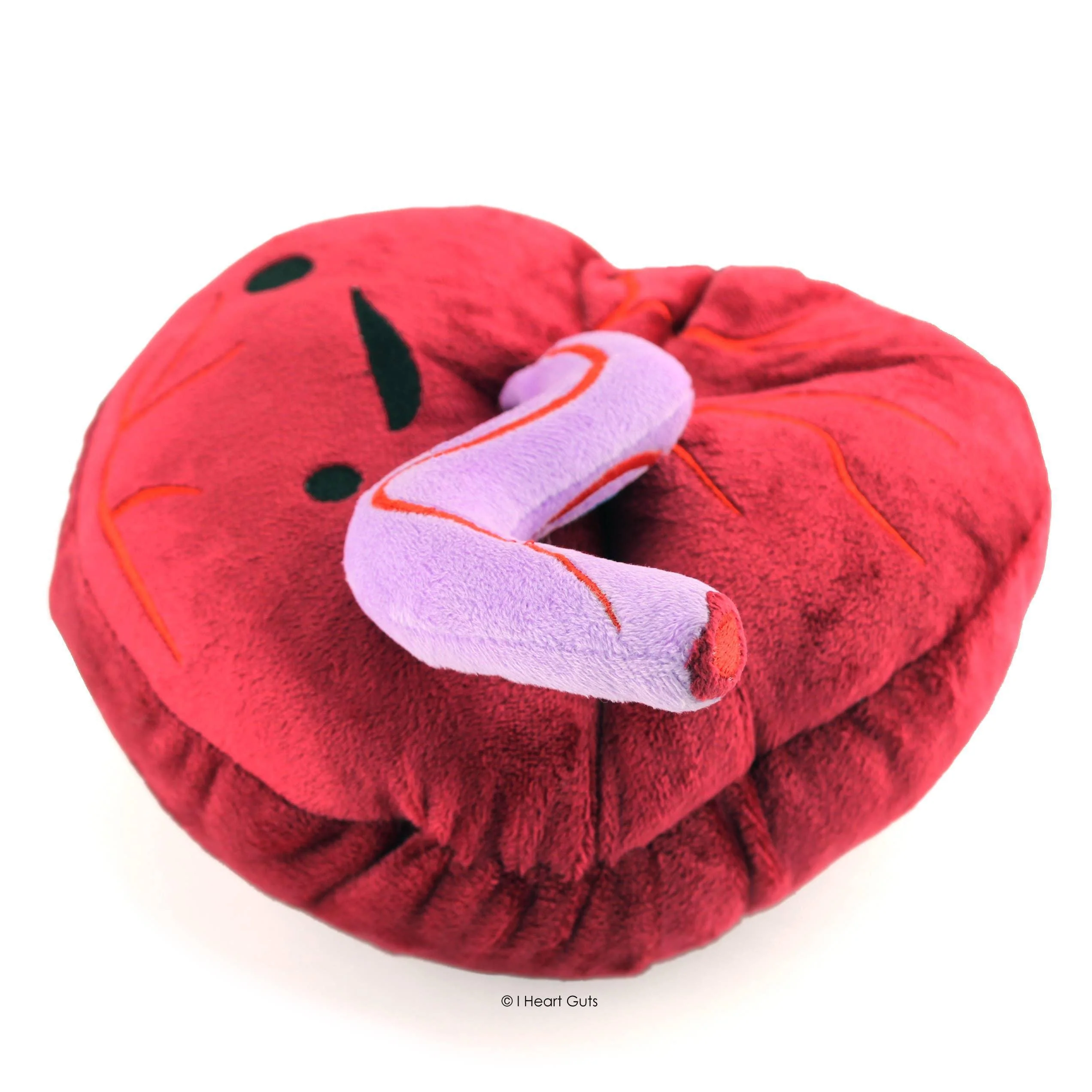 I Heart Guts - Placenta Plush - Baby's First Roommate - Image 5