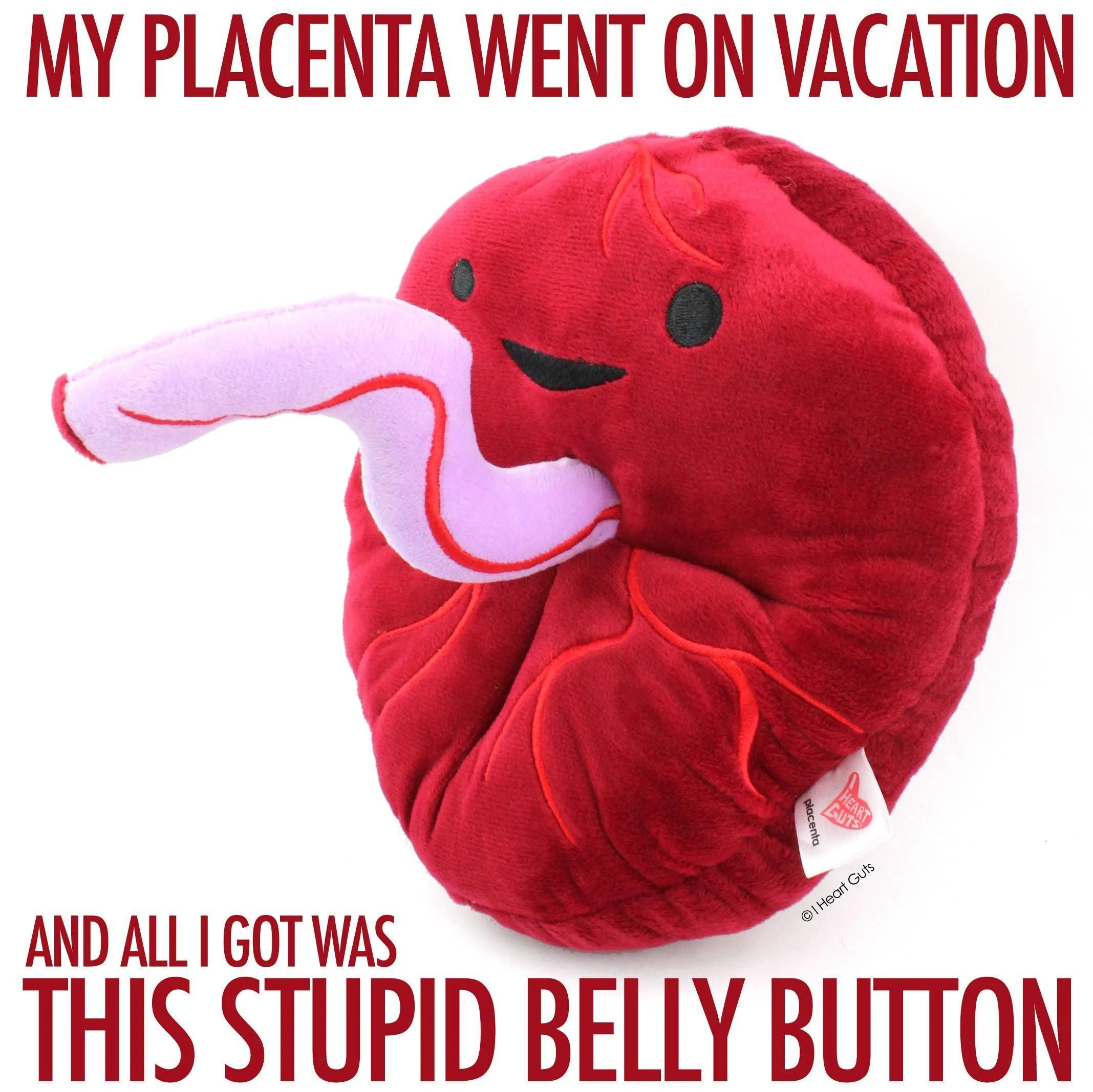 I Heart Guts - Placenta Plush - Baby's First Roommate - Image 9