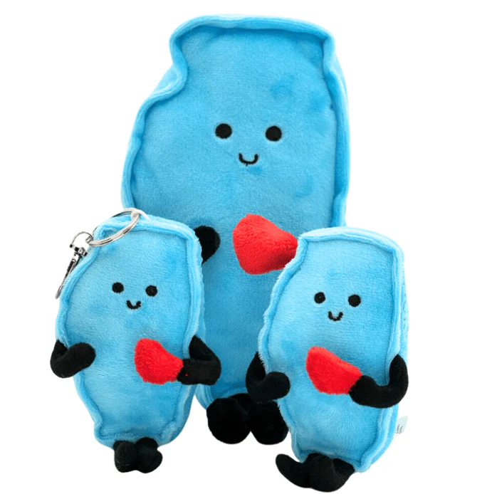 Illinois Mini Stuffed Magnet – 4-Inch Collectible | Stuffed States USA - Image 5