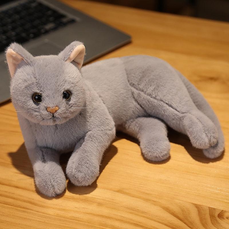 Kawaii Realistic Kitty Cat Plushies - Image 5