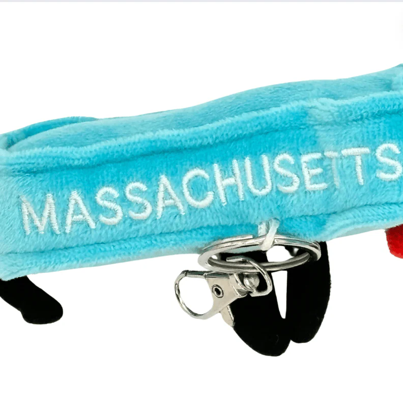 Massachusetts Bag Charm Mini Plush – 4-Inch Travel Accessory | Stuffed States USA" - Image 3