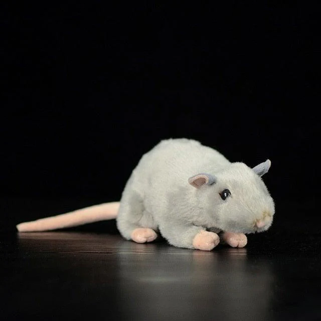 Mr.Mouse - Image 3