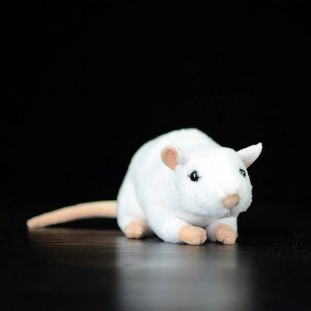 Mr.Mouse - Image 4