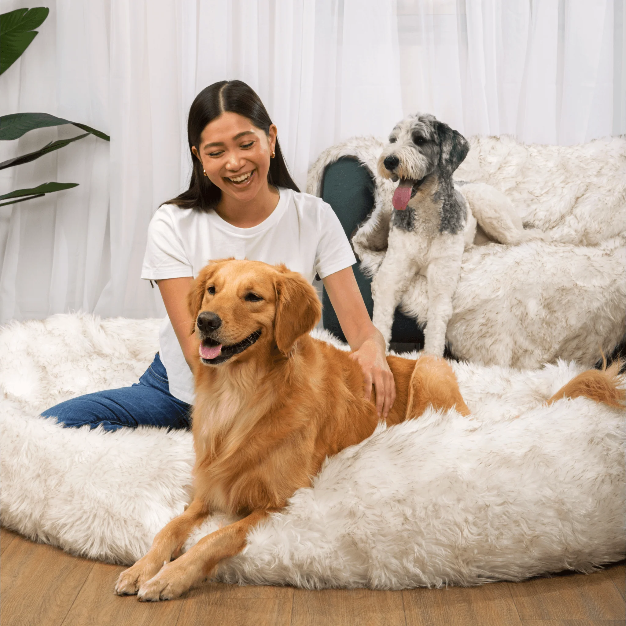 PupCloud™ Human-Size Dog Bed + Matching Waterproof Blanket Bundle - White with Brown Accents - Image 2