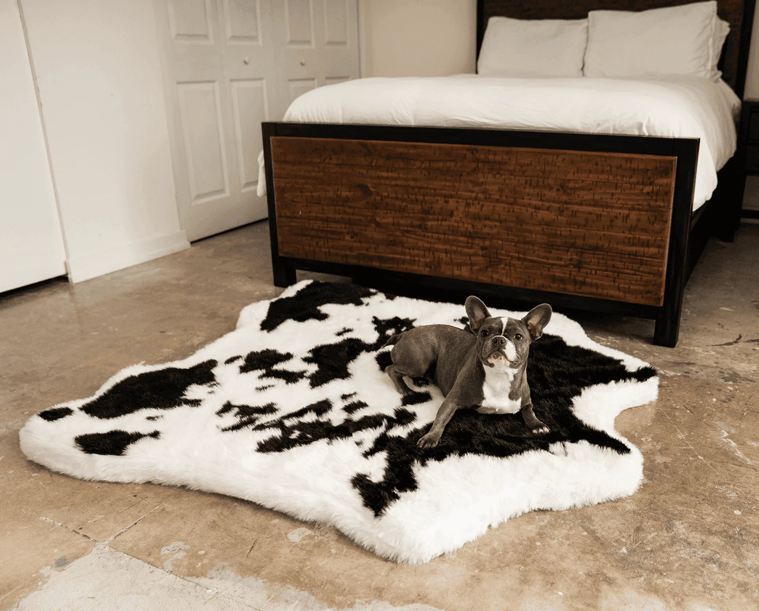 PupRug® Animal Print Memory Foam Dog Bed - Black Faux Cowhide - Image 5