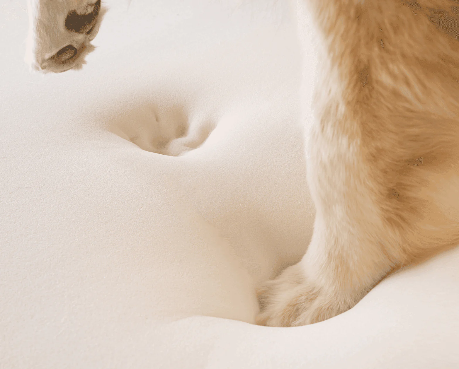 PupRug® Animal Print Memory Foam Dog Bed - Polar Bear Faux Hide - Image 8