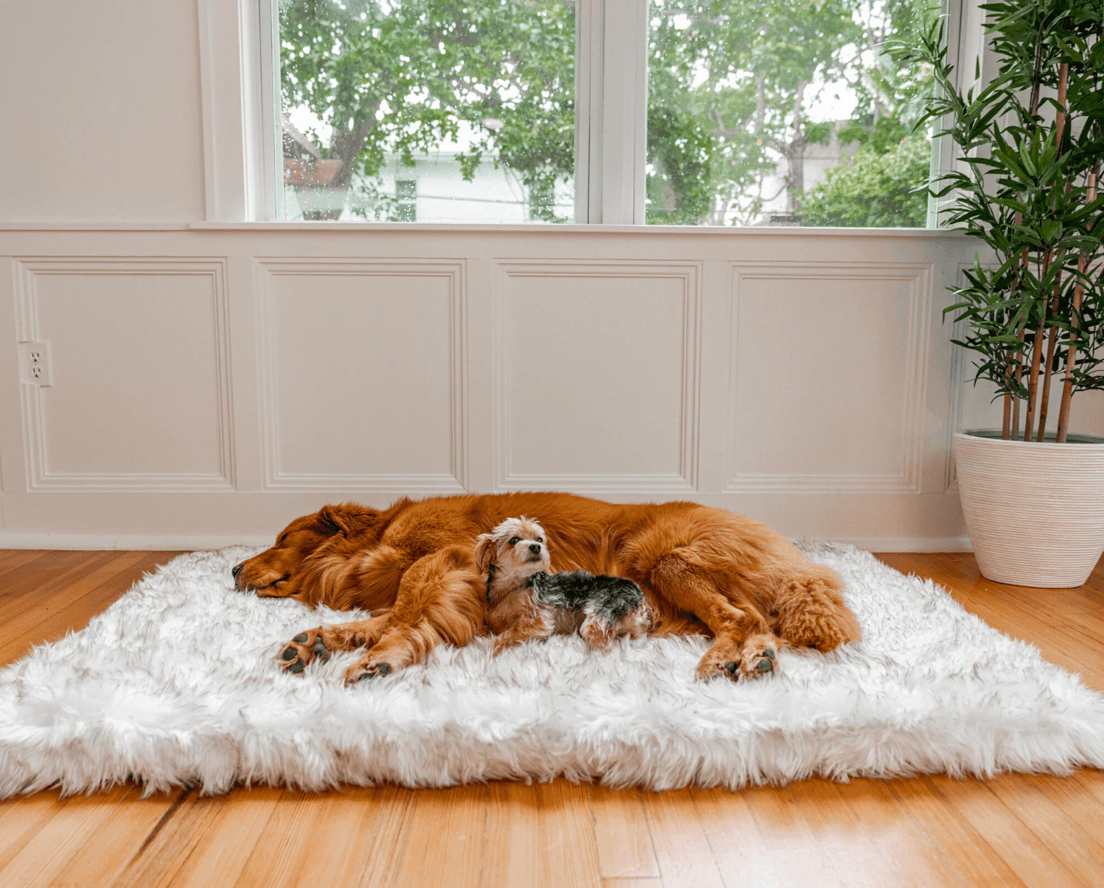 PupRug™ Faux Fur Orthopedic Dog Bed - Rectangle White with Brown Accents - Image 2