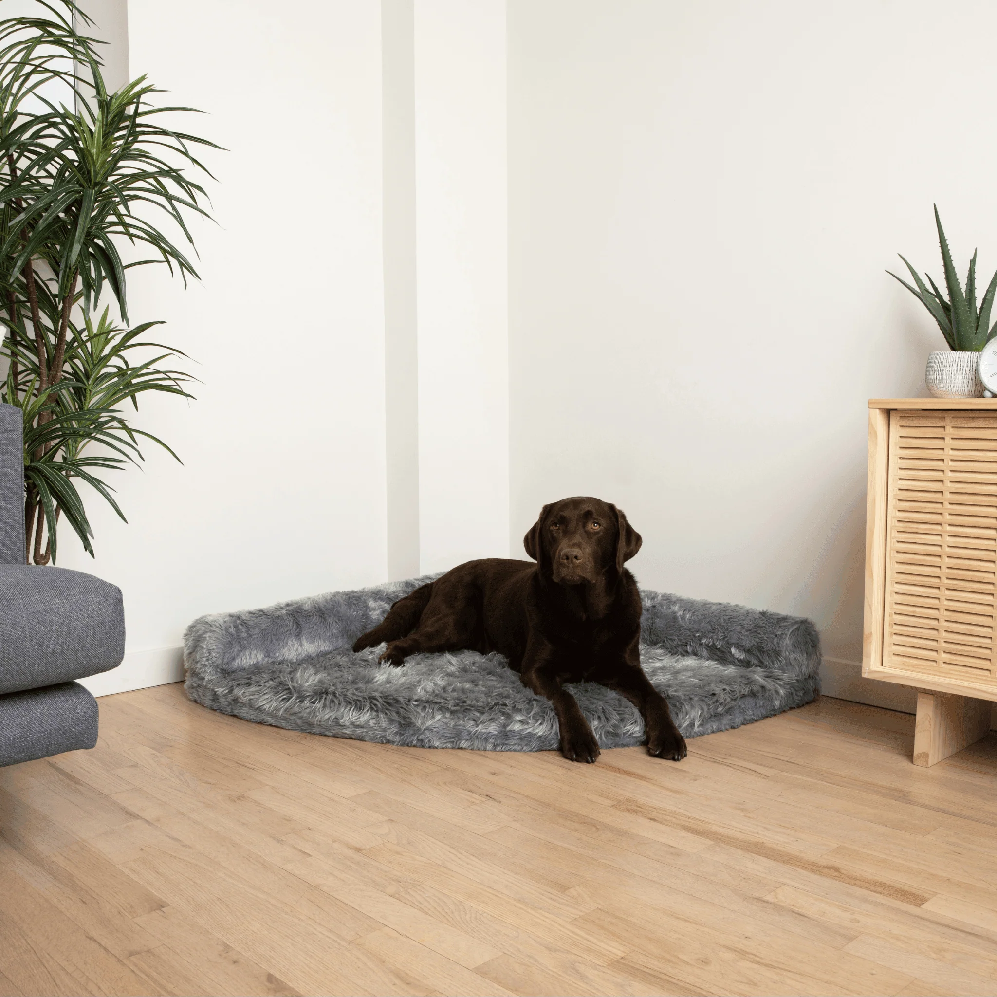 PupRug™ Memory Foam Corner Dog Bed - Charcoal Grey - Image 3