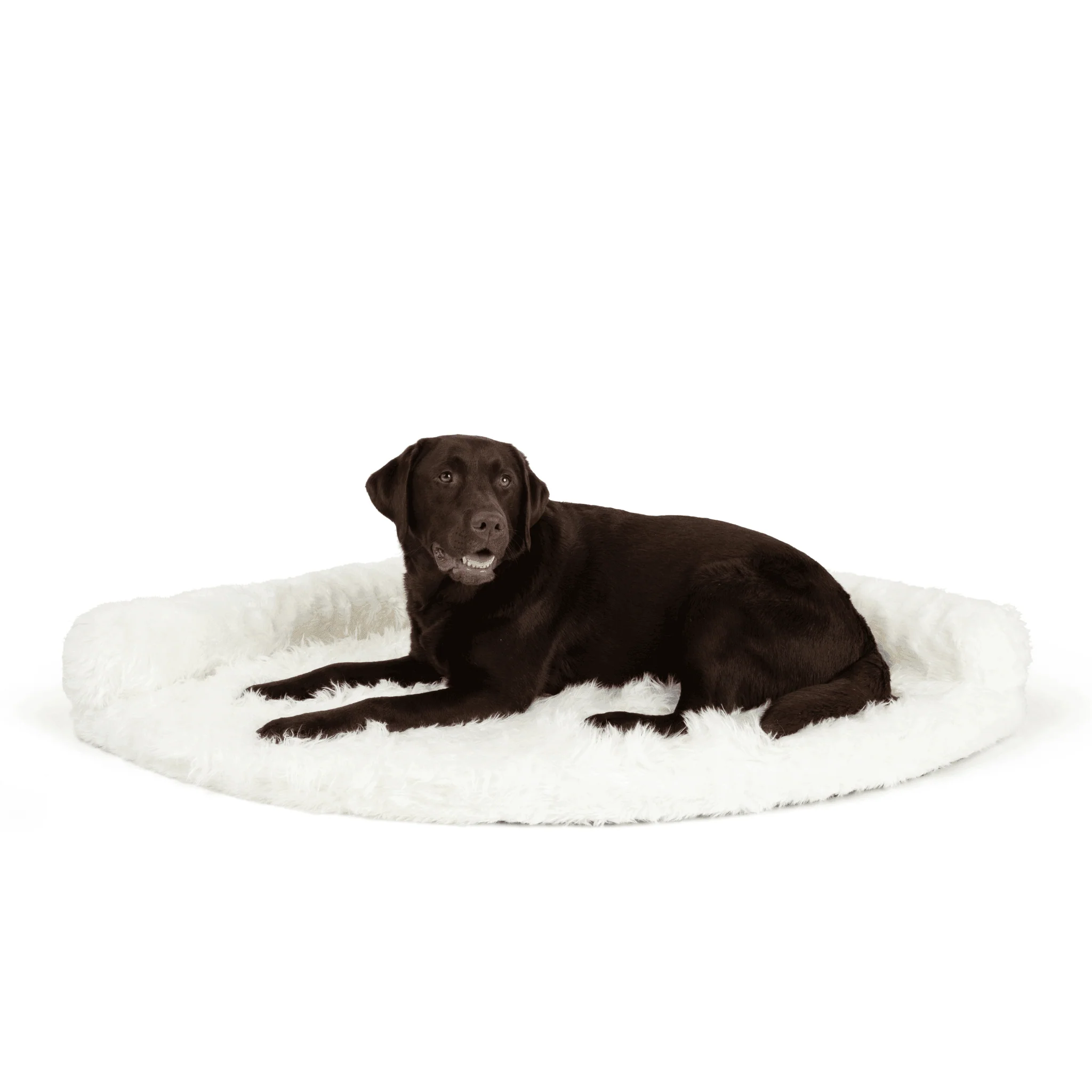 PupRug™ Memory Foam Corner Dog Bed - Polar White - Image 5