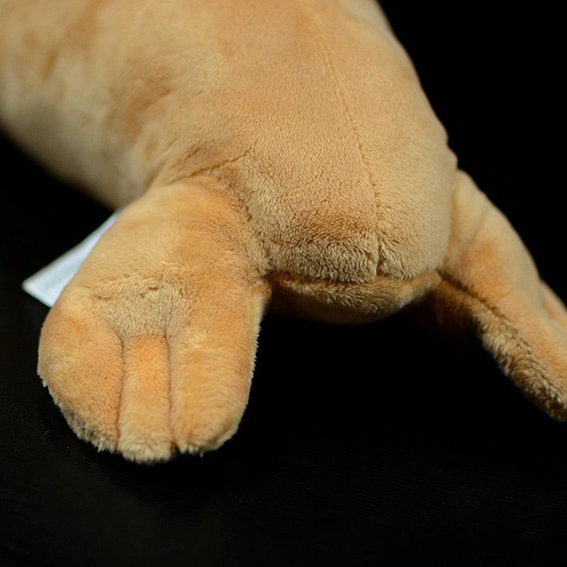 Realistic Walrus Plush Toy - Image 5