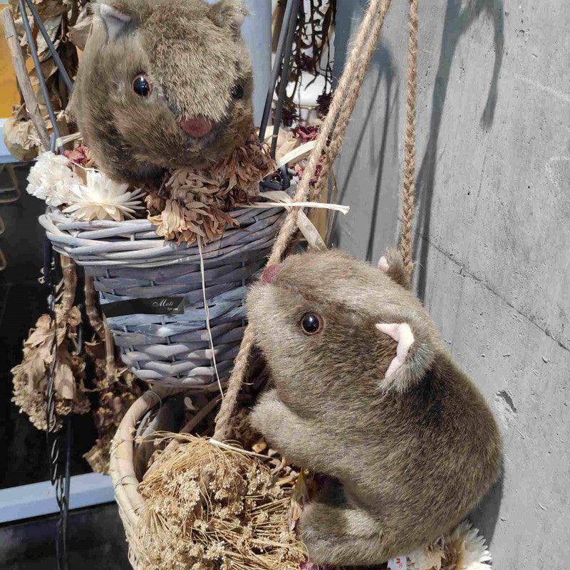 Realistic Wombat Plushie - Image 6